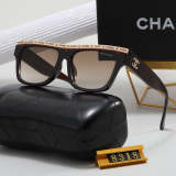 8318 Sunglasses with box