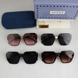 6009  Sunglasses with box