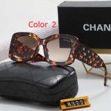 8377 Sunglasses with box