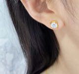 CAN36 Classic brand earring necklace, women's jewelry, copper plated with gold   Jewelry