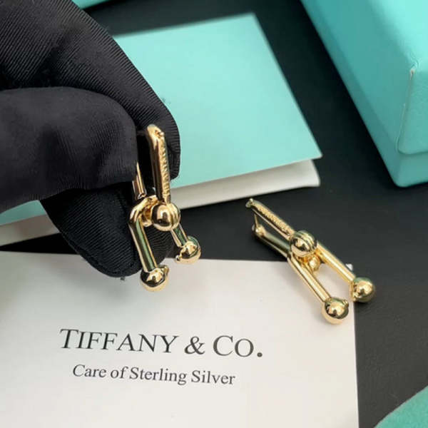 A968 Fashion earrings for women Jewelry
