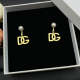DGE5  Woman fashion alloy earrings   Jewelry