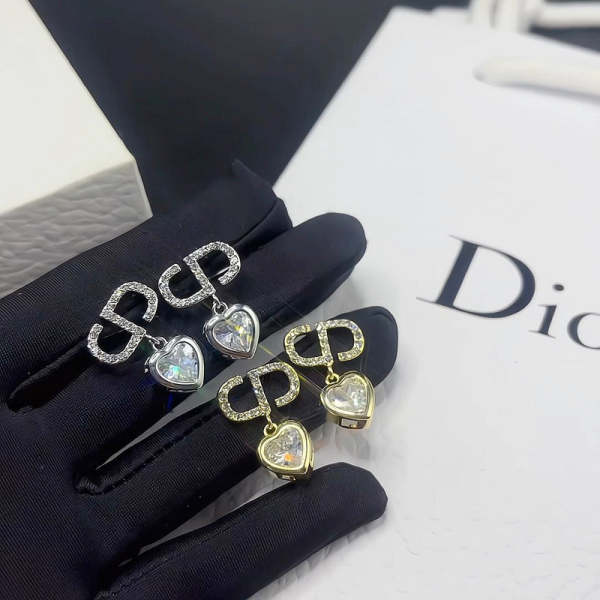 A1008 New fashion earrings for women jewelry