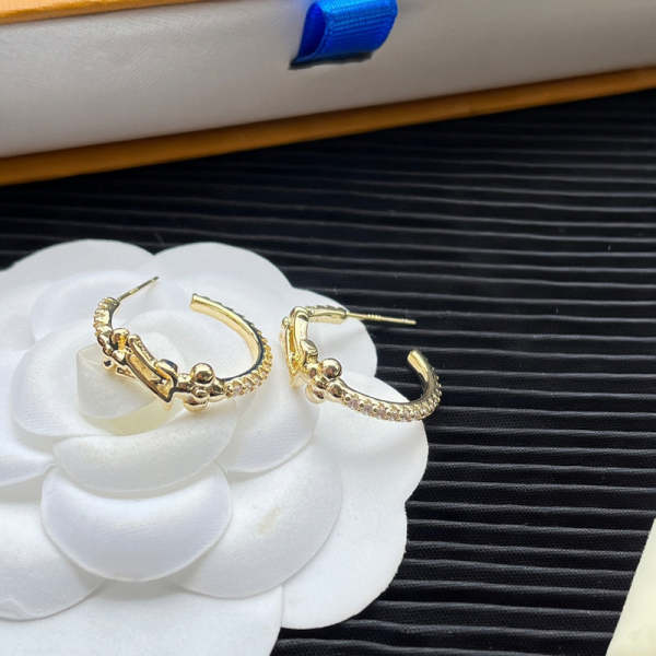A1029 Women's new fashion earrings jewelry