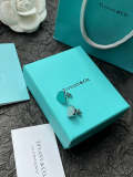 A1048   Women's titanium steel new fashion earrings