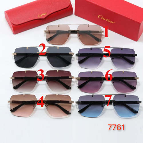 7761  Sunglasses with box