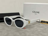 6132   Sunglasses with box