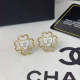 A1111  Women's new fashion heart-shaped earring jewelry