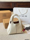 ACP51 Leather Bag 26-20CM Handbag with Box