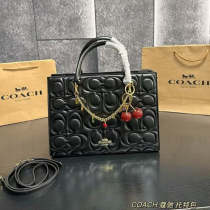 ACP61 Bag 34-25CM Shopping bags