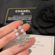A1198 Women's new fashionable earrings and jewelry