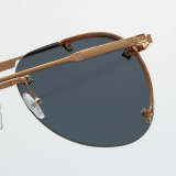 17568  Sunglasses with box