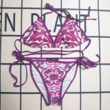 ZDGR1 Women's swimwear two-piece bikini