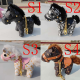 JK26 Key Chain New Style