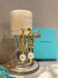 A1239 Women's new fashionable earrings and jewelry