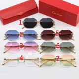 2601 Sunglasses with box