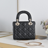 LDP56 bag 20-17-9 cm 17-15-8cm Hand bag