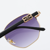 SH314  Sunglasses with box
