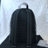 Dior backpack