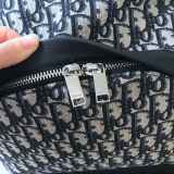 Dior backpack