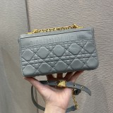 SMALL DIOR CARO BAG