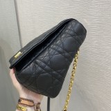 LARGE DIOR CARO BAG 28CM
