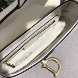 Dior Saddle2