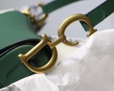 Dior Saddle23