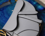 Dior Saddle27