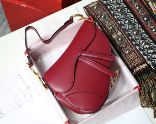 Dior Saddle12