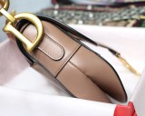 Dior Saddle28