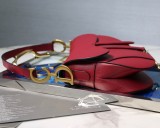 Dior Saddle10