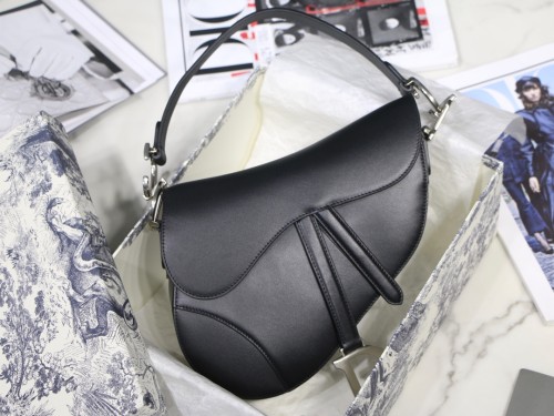 Dior Saddle15