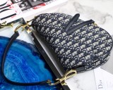 Dior Saddle30