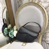 Dior Saddle1