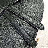 Dior Saddle1