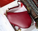 Dior Saddle12