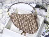 Dior Saddle31