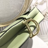 Dior Saddle3