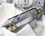 Dior Saddle20