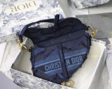 Dior Saddle29