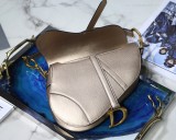 Dior Saddle18