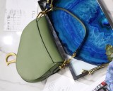 Dior Saddle11