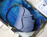 Dior Saddle6