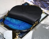 Dior Saddle8