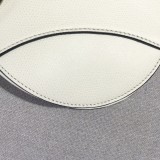 Dior Saddle2