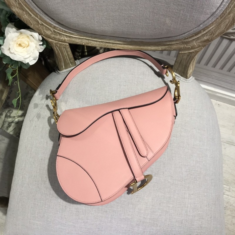 Dior Saddle5