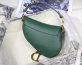 Dior Saddle7