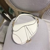 Dior Saddle2