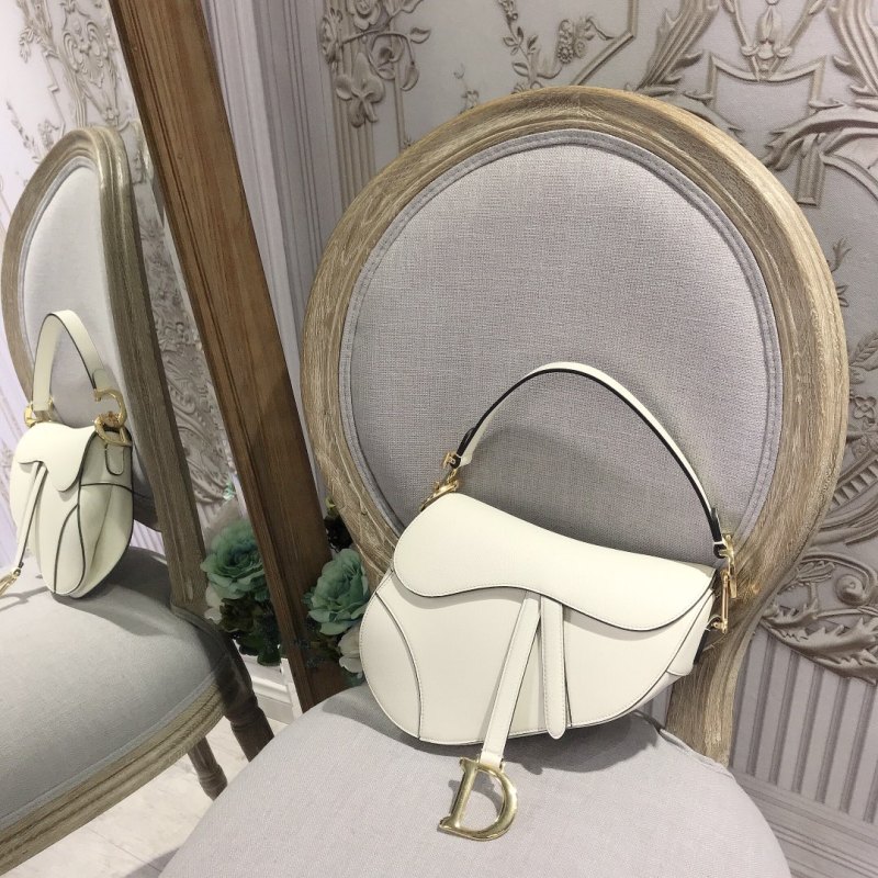 Dior Saddle2